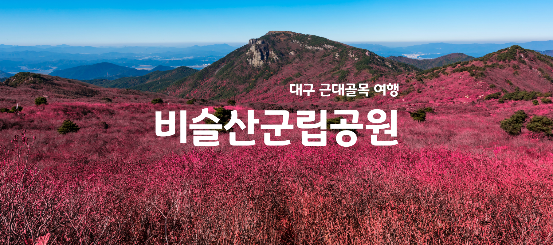 대구 비슬산