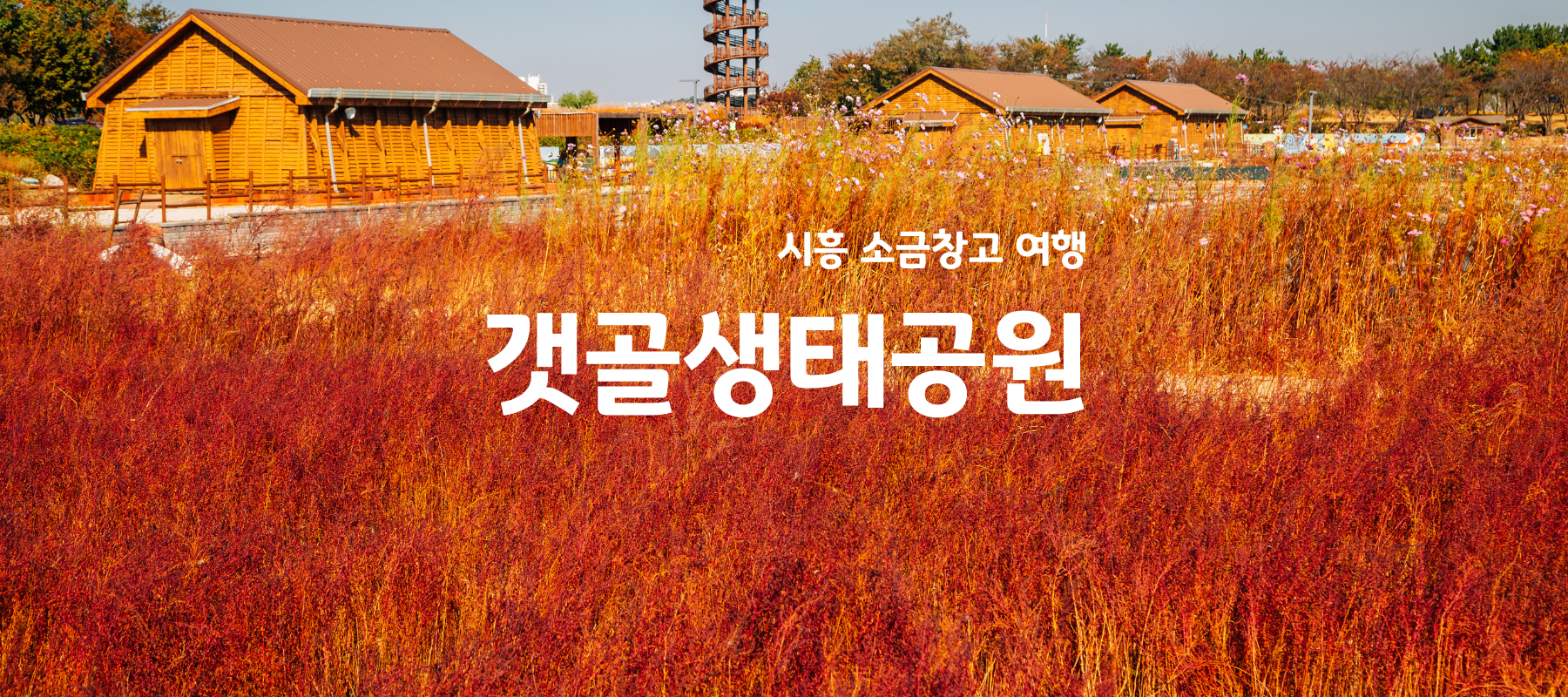 시흥 갯골