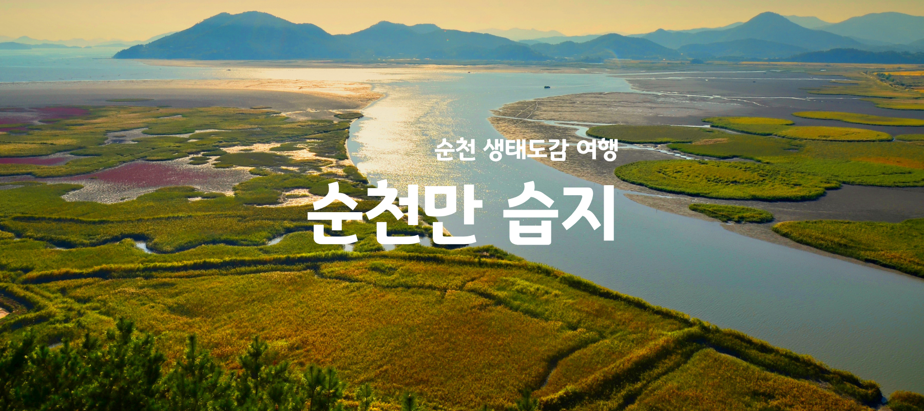 순천만 습지