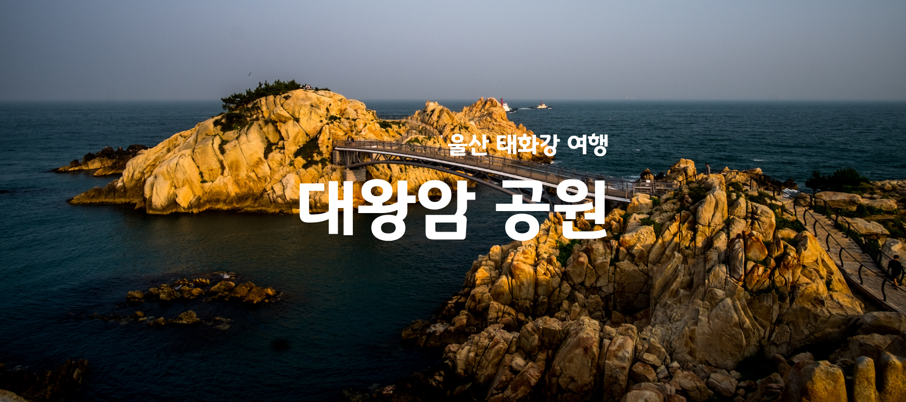 울산 태화강