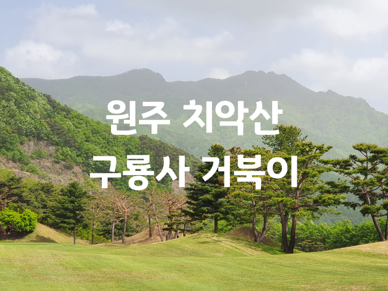 원주 치악산 구룡사의 거북 울음 버스투어