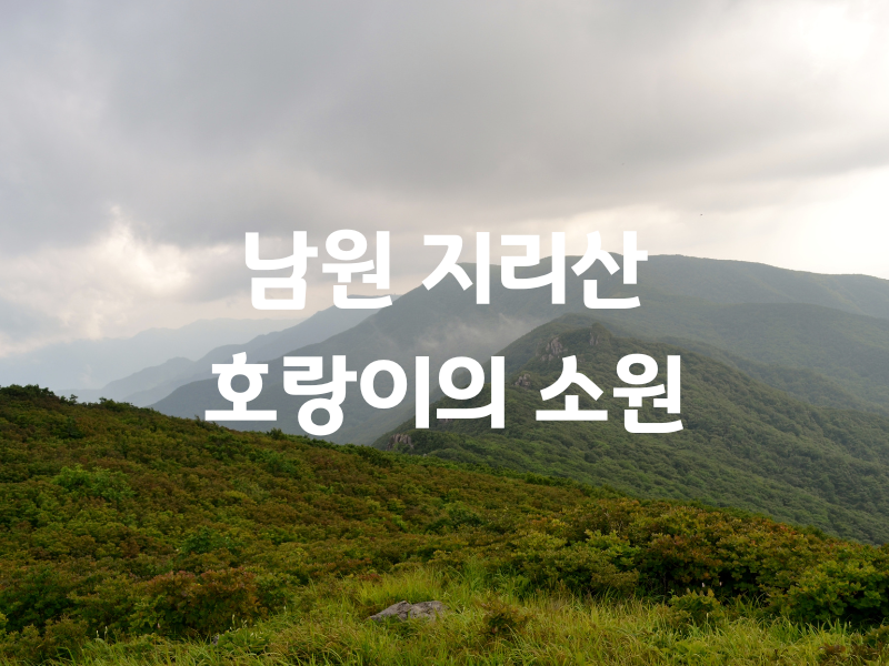 전북 남원 지리산 호랑이의 소원 버스투어