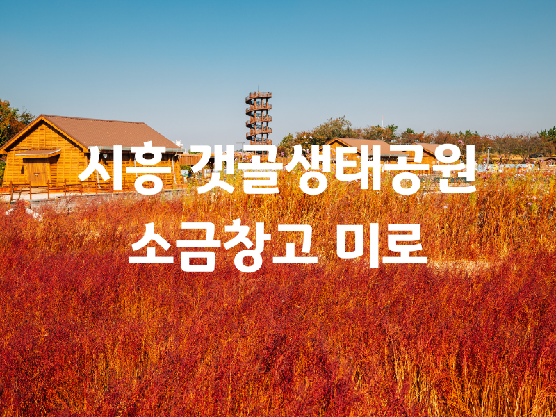 시흥 갯골생태공원 소금창고 버스투어